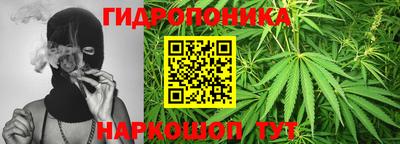 дурь Боровичи